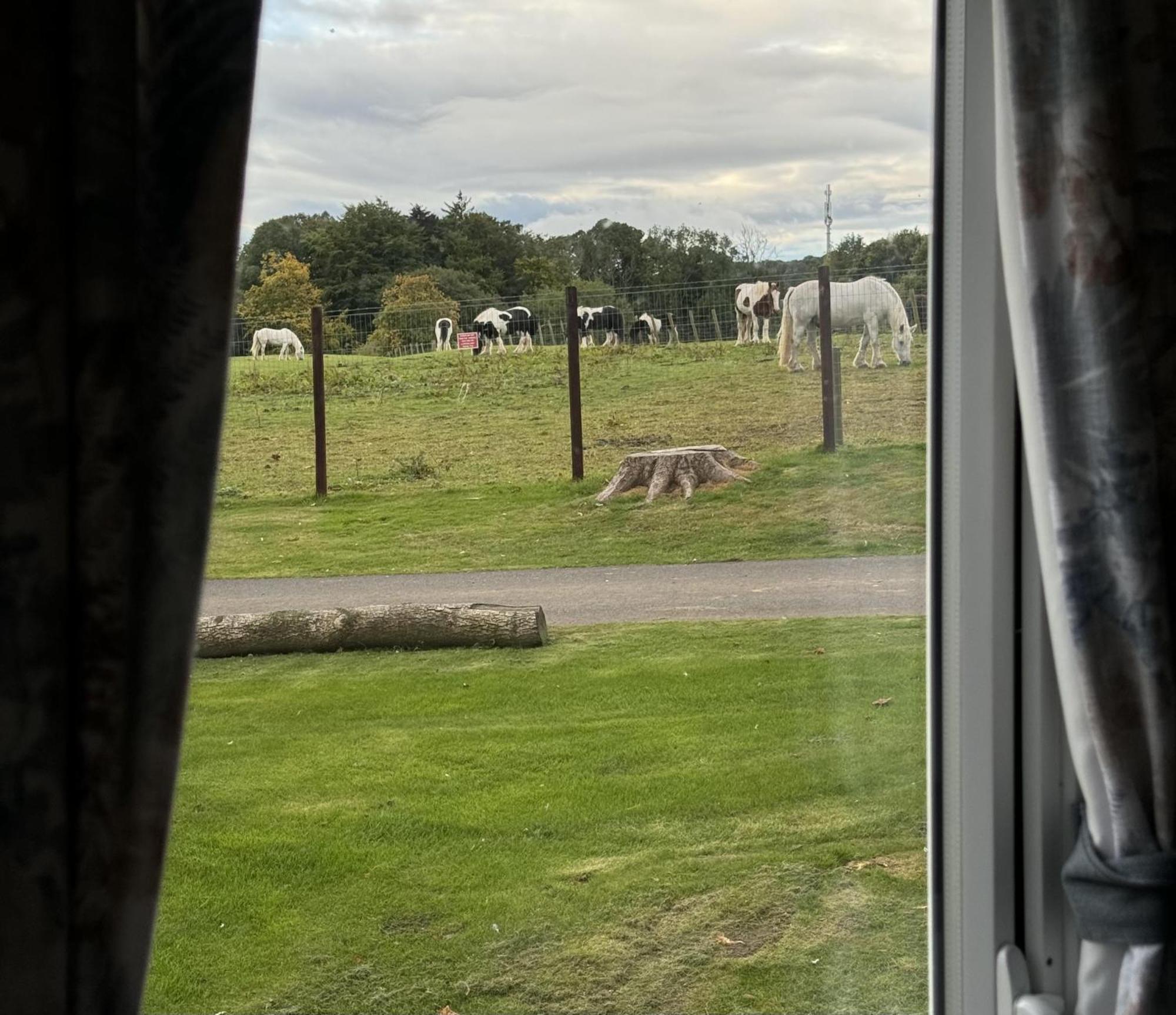 Berwick Upon Tweed Pony Gate Caravan On Haggerstone Castle West Lawn מראה חיצוני תמונה